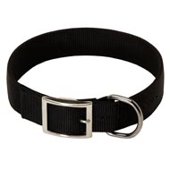 2 Ply Nylon English Bulldog Collar  2 Ply Nylon English Bulldog Collar