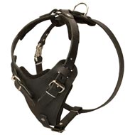 Protection Leather English Bulldog Harness for Attack / Agitation Dog Training  Protection Leather English Bulldog Harness for Attack / Agitation Dog Training