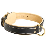 All Weather Nylon Swiss Mountain Dog Collar with ID Patches [C48