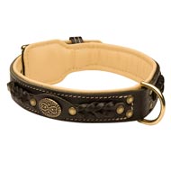 English Bulldog Leather Collar Braided  English Bulldog Leather Collar Braided