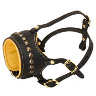 Open Nose Studded Leather English Bulldog Muzzle With Nappa Padding  Open Nose Studded Leather English Bulldog Muzzle With Nappa Padding