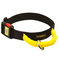 Gorgeous Wide Nylon English Bulldog Collar With Quick Release Buckle and Handle  Gorgeous Wide Nylon English Bulldog Collar With Quick Release Buckle and Handle