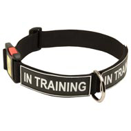 All Weather Nylon English Bulldog Collar with ID Patches  All Weather Nylon English Bulldog Collar with ID Patches