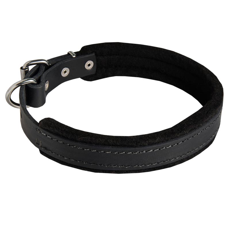 Best collar for english bulldog best sale