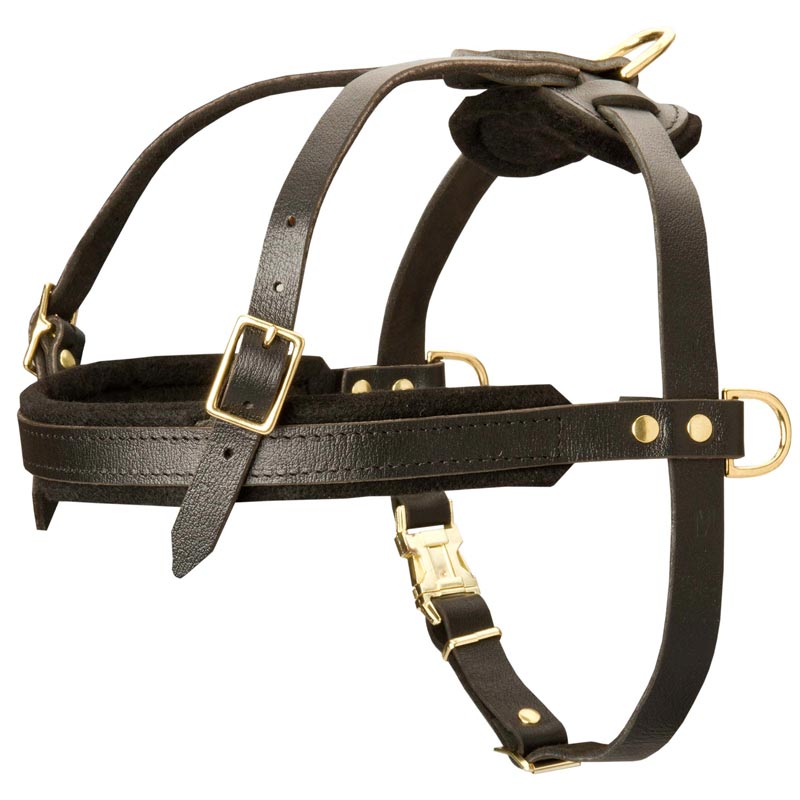 British Bulldog Leather Dog Collars - Fleece Dog Harnesses