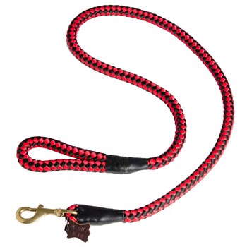 English Bulldog Red Nylon Leash for Walking and Training