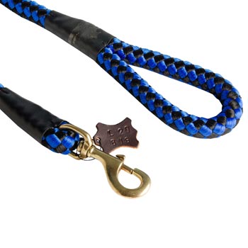 Blue Nylon English Bulldog Leash 