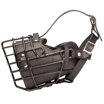 Leather English Bulldog Muzzle Padded Metal Basket